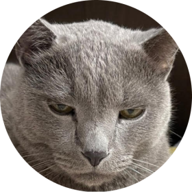 윤원용